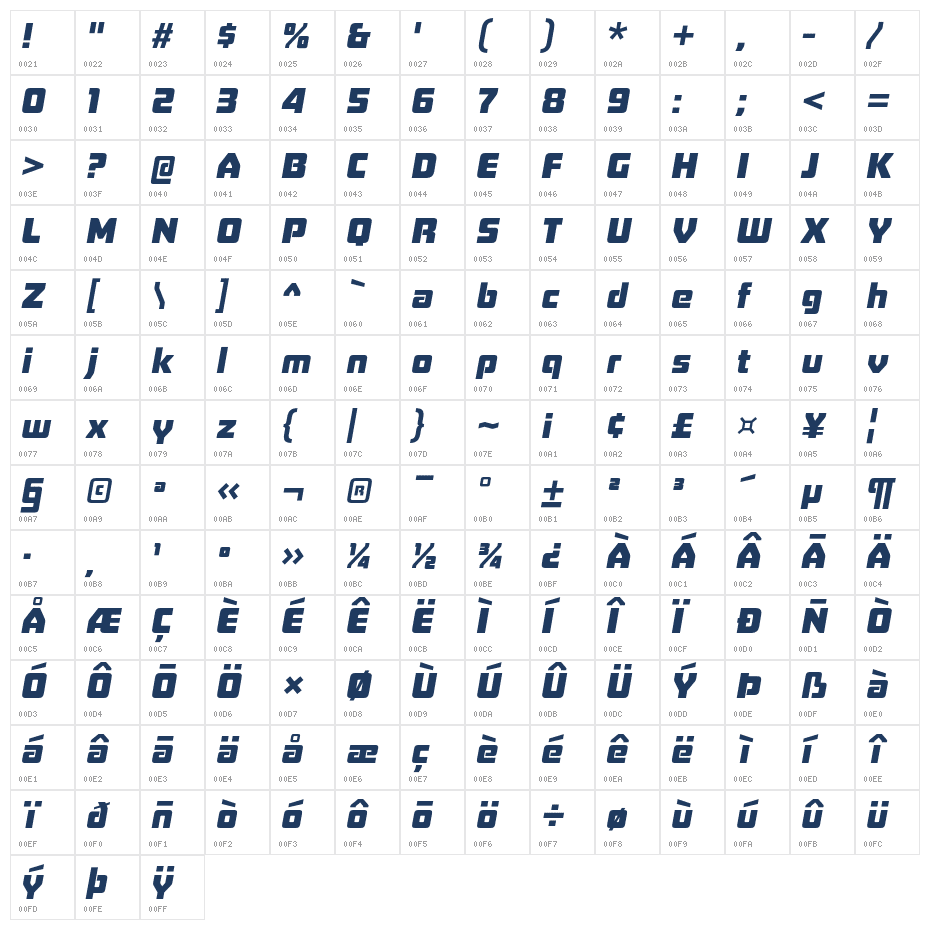 Board of Directors Heavy Italic Character Map