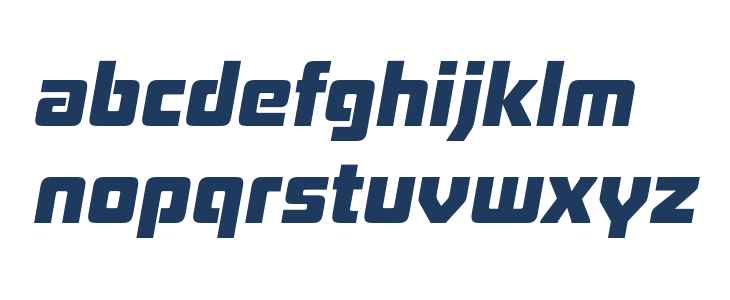 Board of Directors Heavy Italic Lowercase