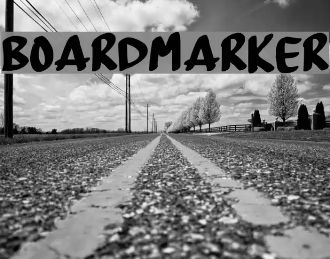 BoardMarker Font examples