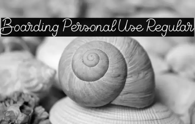 Boarding Personal Use Regular Example 1