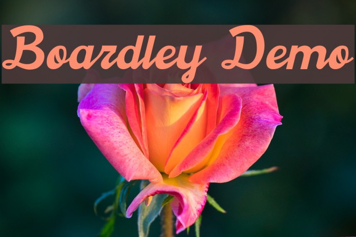 Boardley Demo Font examples