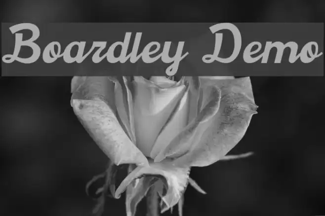 Boardley Demo Example 2