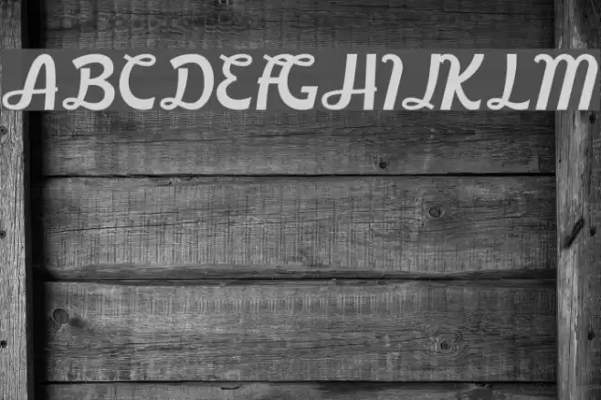 BoardleyDemo Font examples