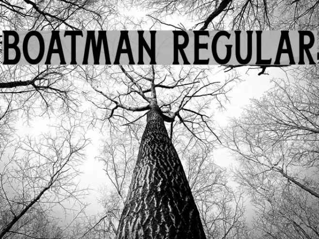 Boatman Regular Font examples