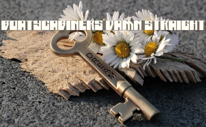 Boatycabiners Damn Straight Example 3