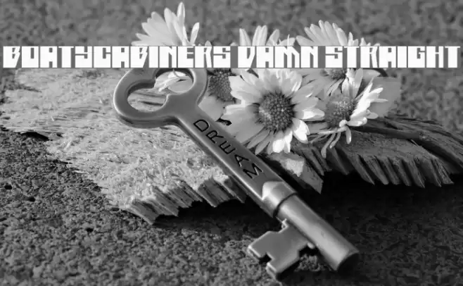 Boatycabiners Damn Straight Font examples