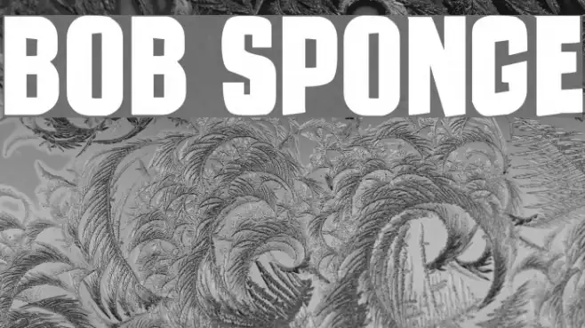 Bob Sponge Example 1