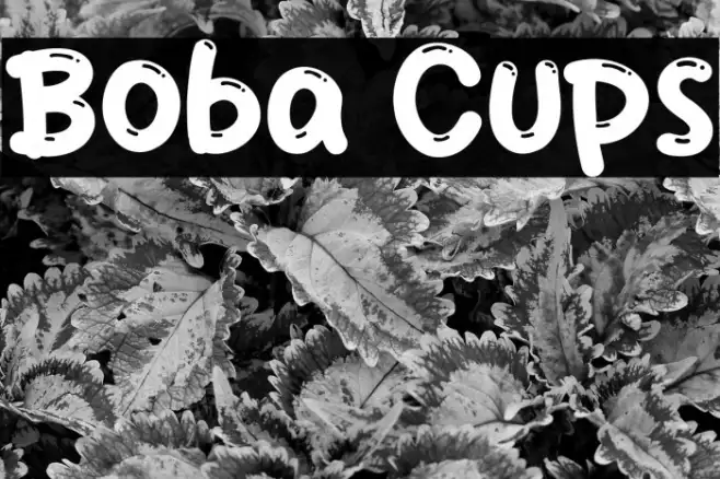 Boba Cups Example 3