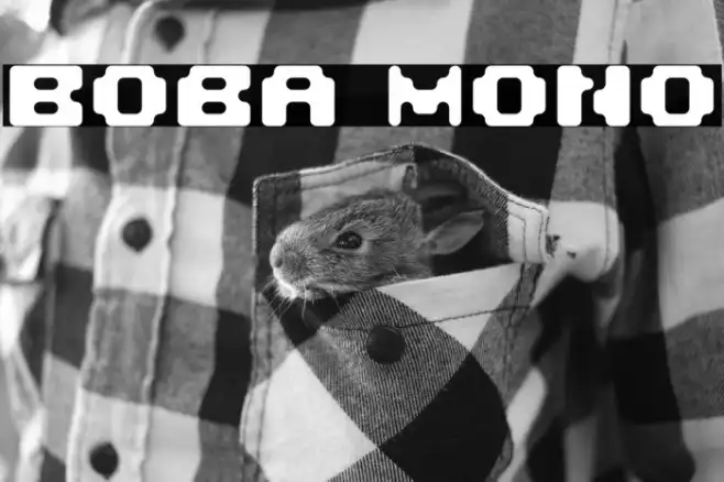 Boba Mono Example 3