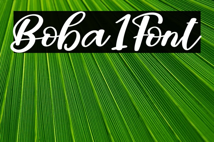 Boba1 Example 1