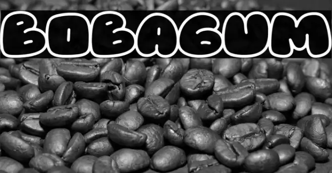 Bobagum Example 2