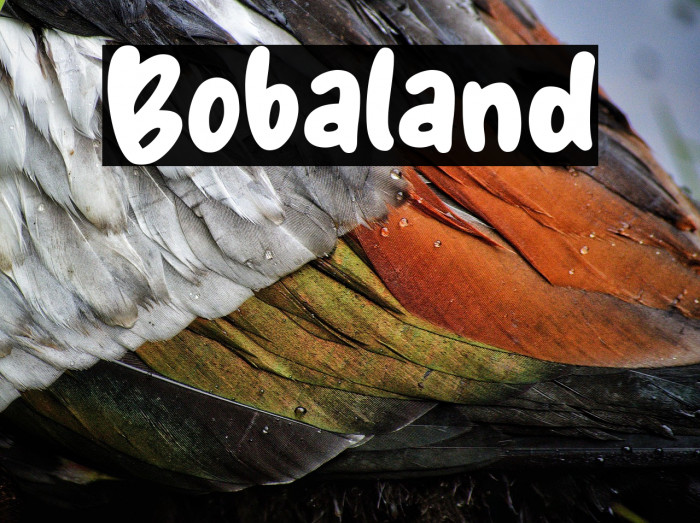 Bobaland Example 3