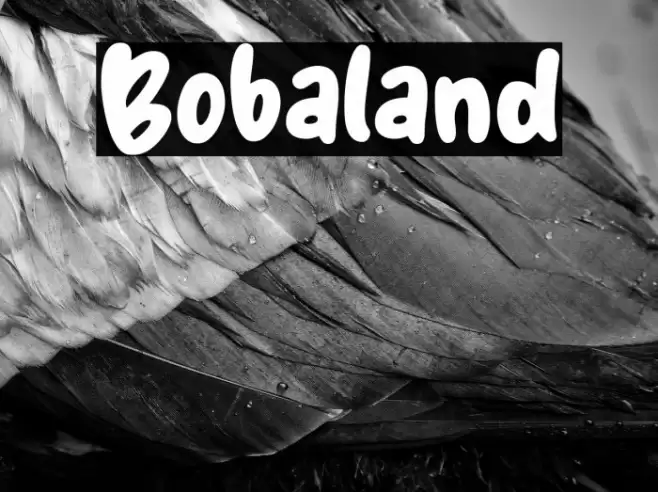 Bobaland Font examples