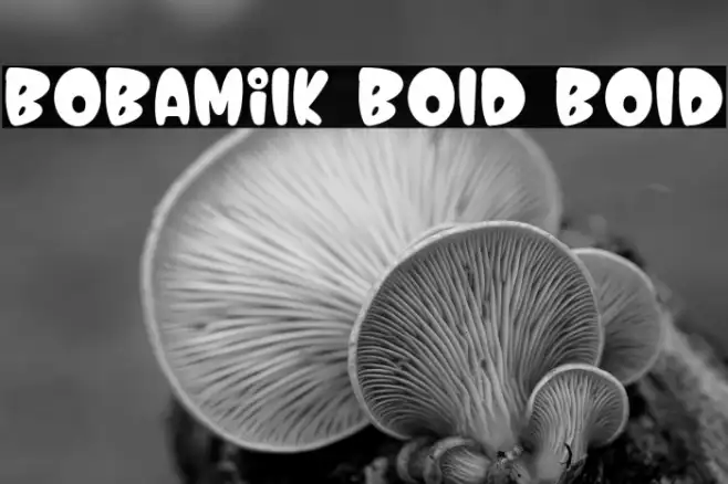 Bobamilk Bold Bold Example 1
