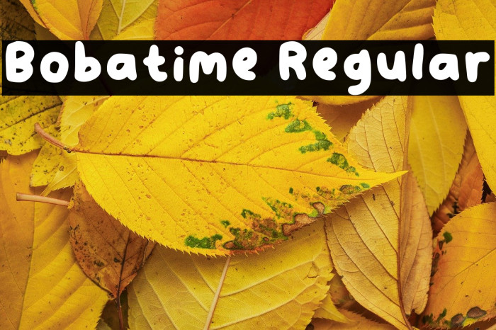 Bobatime Regular Example 2