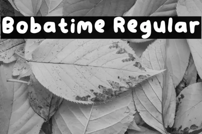 Bobatime Regular Example 2