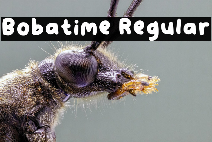 Bobatime Regular Example 3