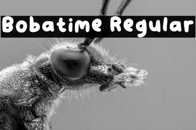 Bobatime Regular Example 3