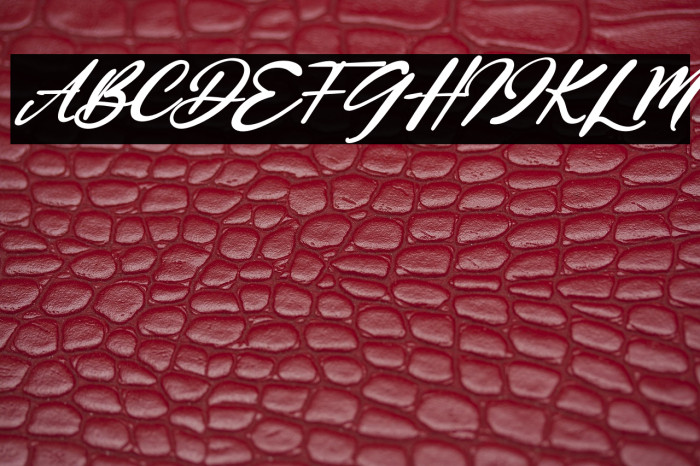 Bobbey Italic Example 3