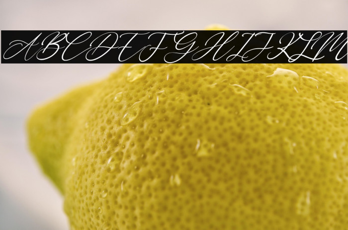 Bobbi Jeffina Italic Example 3