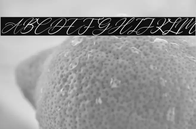 Bobbi Jeffina Italic Font examples