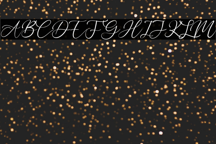 Bobbi Jeffina Example 2