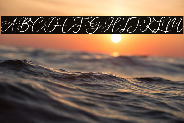 Bobbi Jeffina Example 3