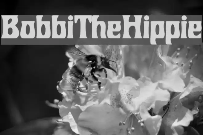 BobbiTheHippie Fonte examples