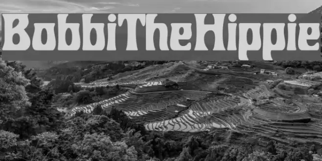 BobbiTheHippie Fonte examples