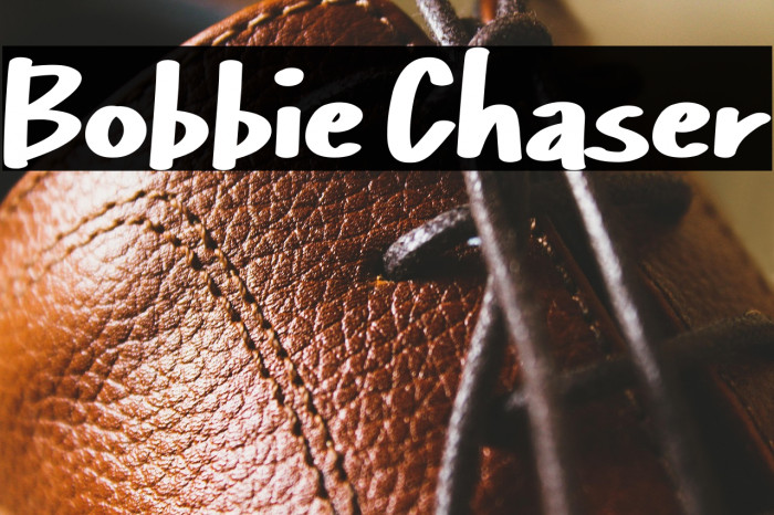 Bobbie Chaser Example 3