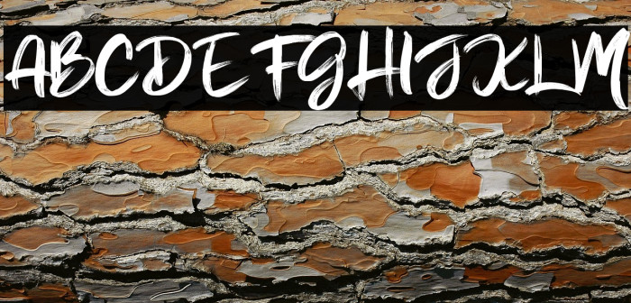 Bobby Anderson - Personal Use Example 1