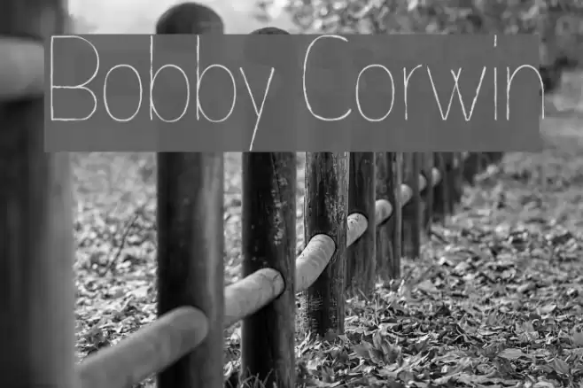 Bobby Corwin Font examples