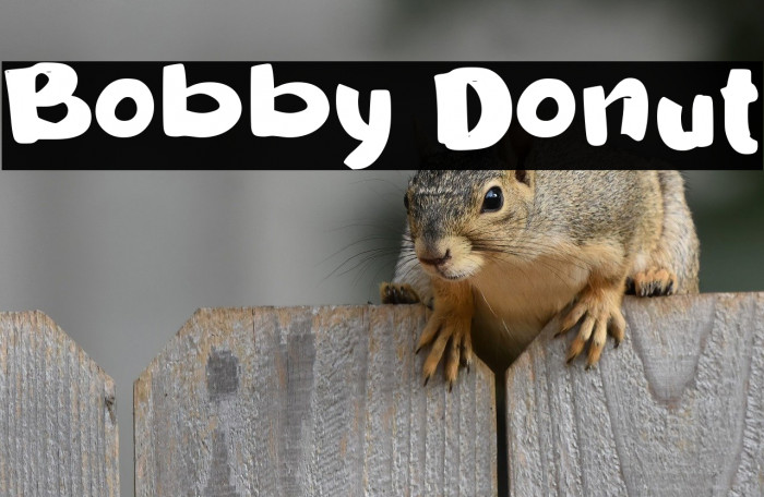 Bobby Donut Example 2