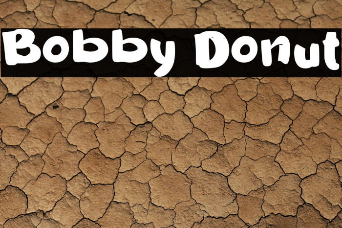 Bobby Donut Example 3