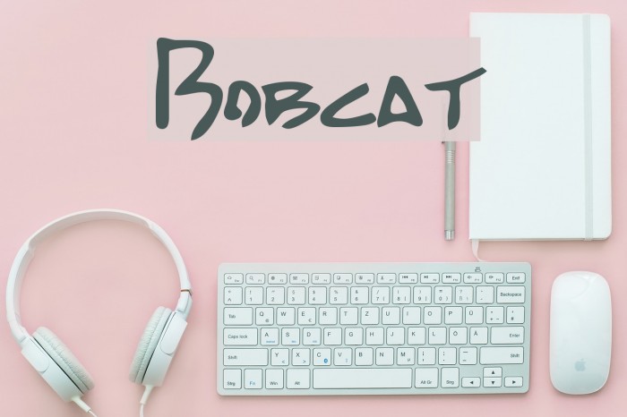 Bobcat Font examples