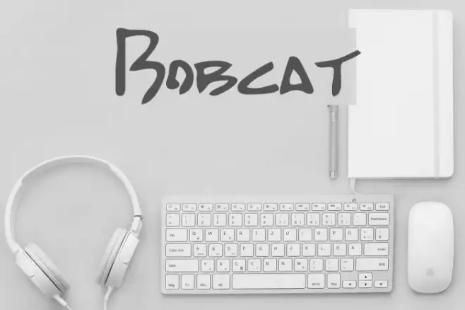 Bobcat Example 2