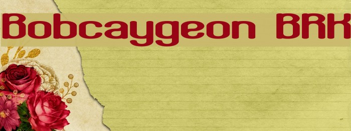 Bobcaygeon BRK Font examples