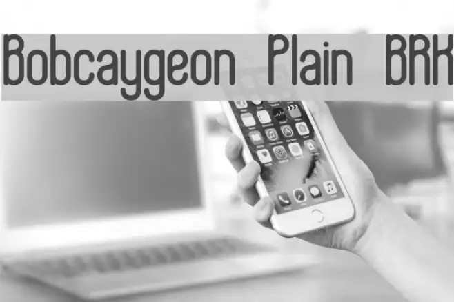 Bobcaygeon Plain BRK Example 1
