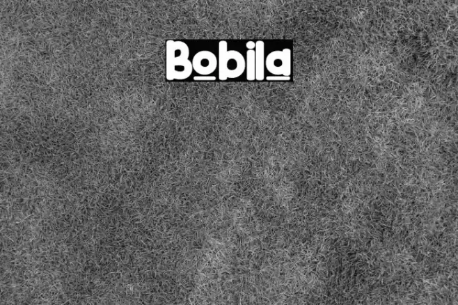 Bobila Font examples