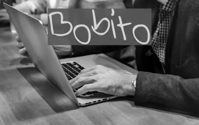Bobito Example 1