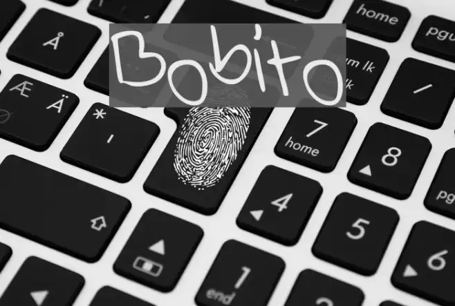 Bobito Example 3