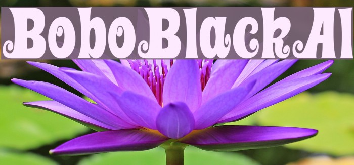 BoboBlackAl Example 2