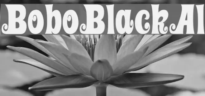 BoboBlackAl Example 2
