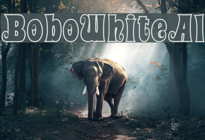 BoboWhiteAl Example 3