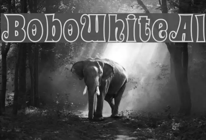 BoboWhiteAl Example 3