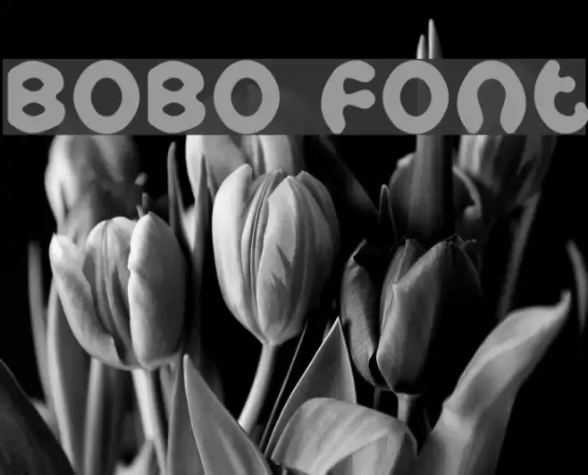 Bobo Font examples