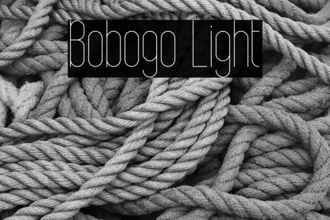 Bobogo Light Example 3