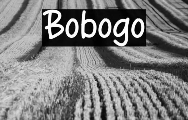 Bobogo Example 1