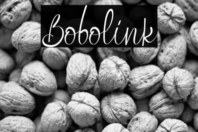 Bobolink Font examples