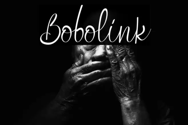 Bobolink Font examples